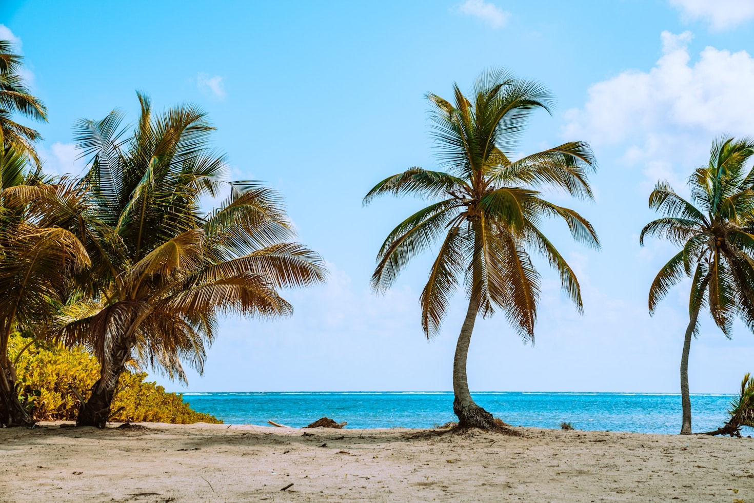 How to Start a Business in Belize